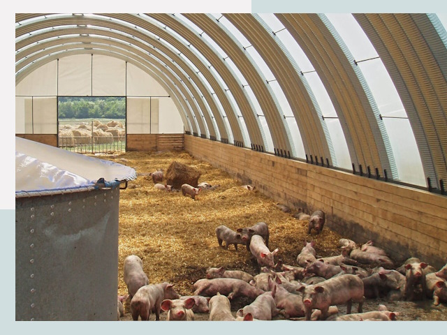 Строительство свинарников в Сыктывкаре